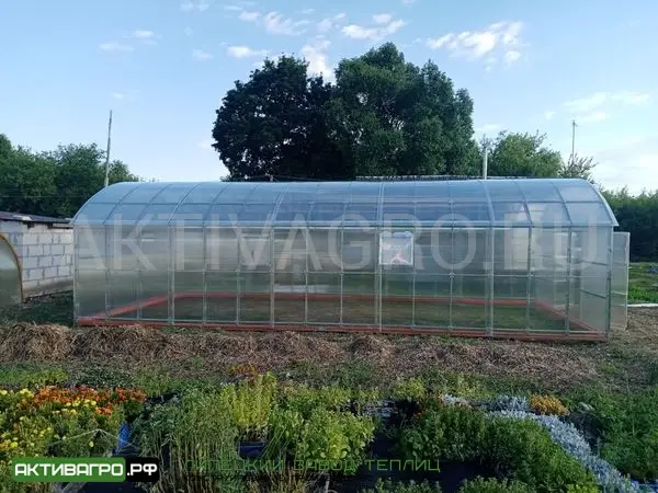 Теплица Ударница Благодатная, ширина 4/5 м, труба 40х20 + 20х20 Теплица Ударница Благодатная, ширина 4/5 м, труба 40х20 + 20х20