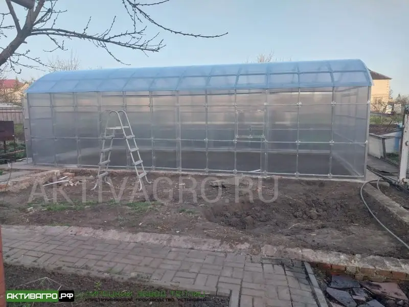 Теплица Ударница Благодатная, ширина 4/5 м, труба 40х20 + 20х20 Теплица Ударница Благодатная, ширина 4/5 м, труба 40х20 + 20х20